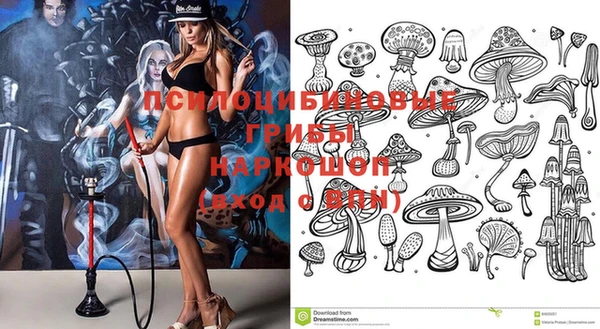 мяу мяу мука Алексин